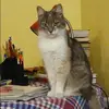 Отзыв от Клавдия Аксенова